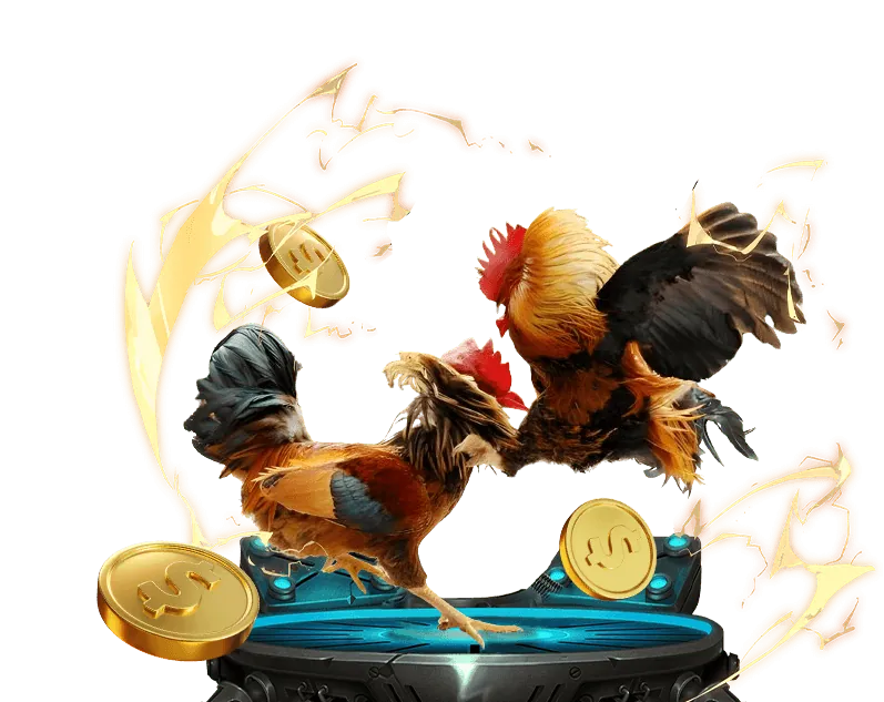 Mẹo chơi đá gà online